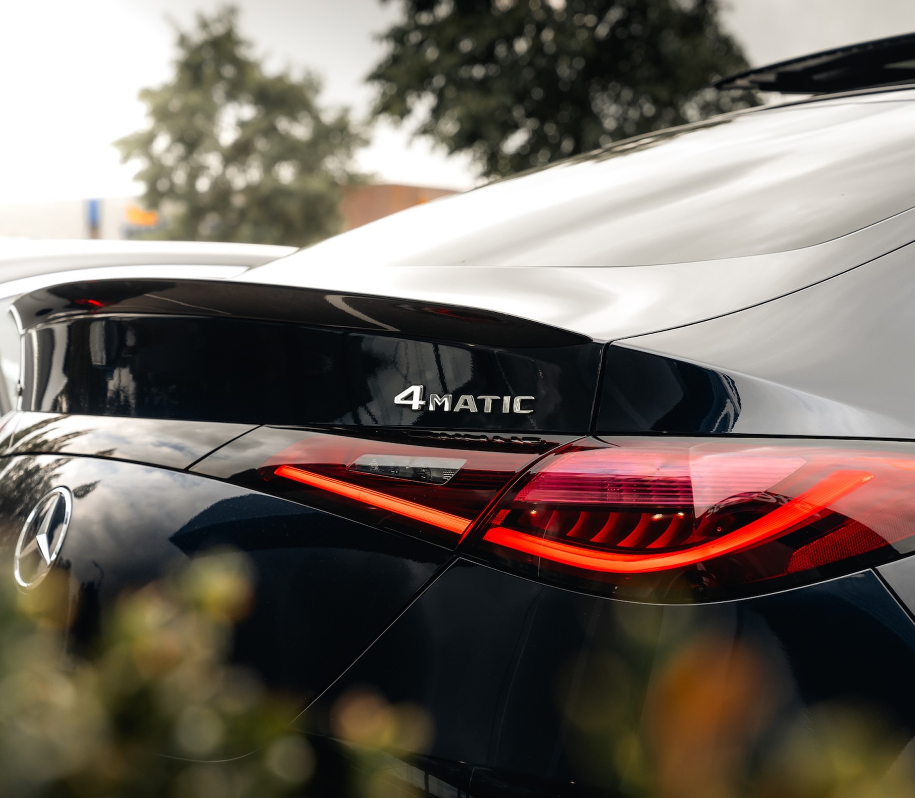 Gallery gallery_images_1_0_17508588341535320224.jpg Diensten | Sterdome B.V.