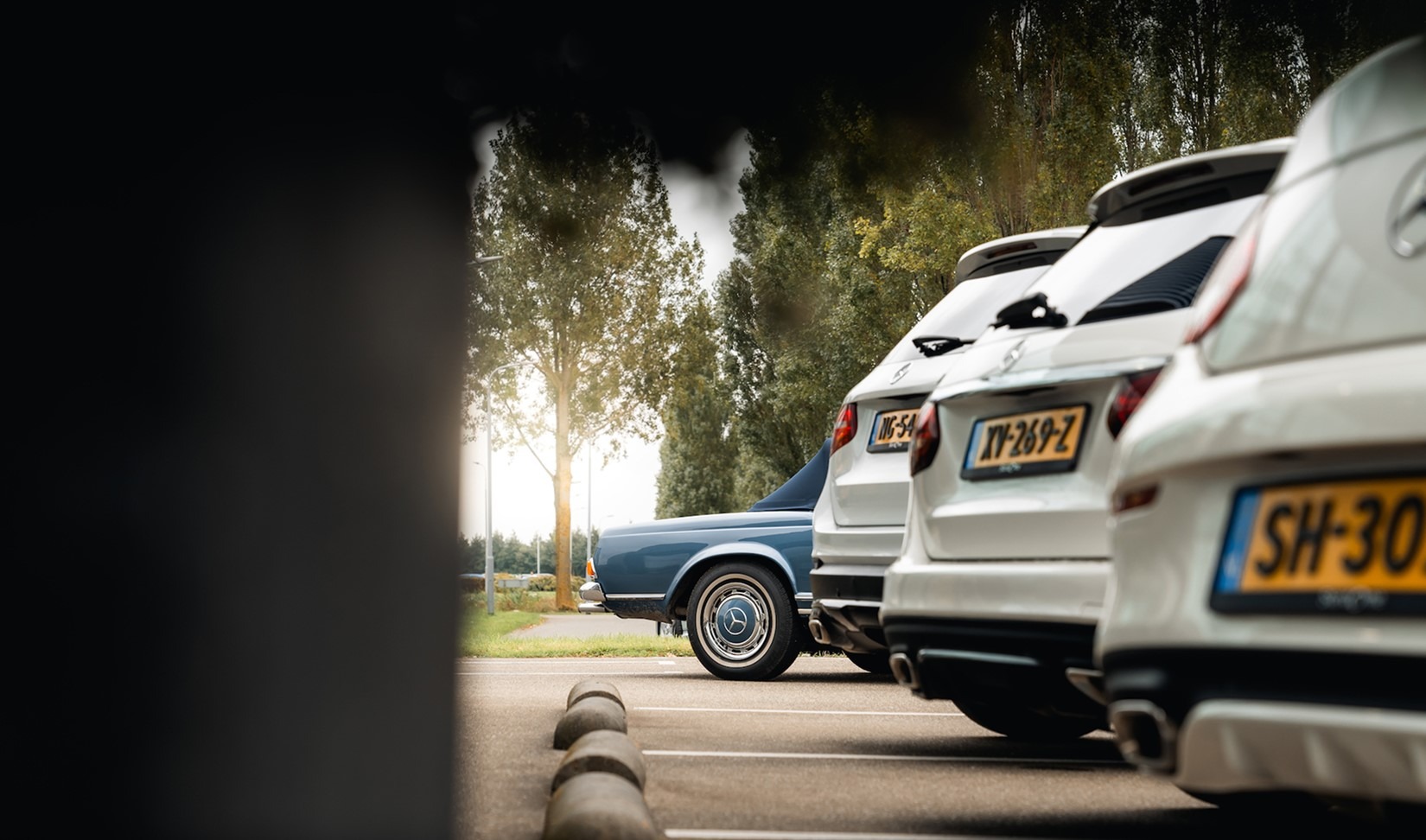 Article article_images_0_1751009549283879044.jpg Grijskentekenregeling | Sterdome B.V.