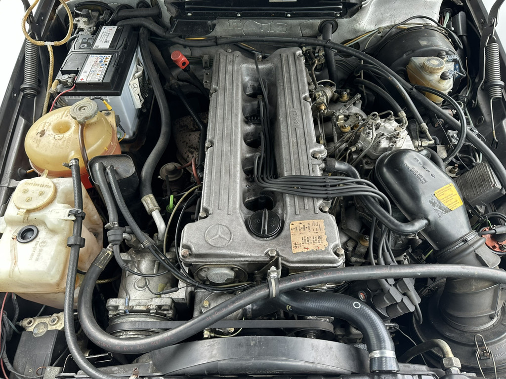 44459694-3.jpg
